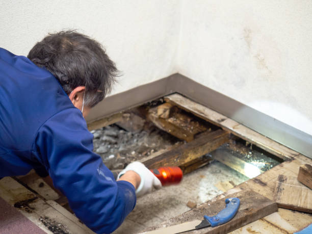 Best Post-Remediation Services in Commerce, OK