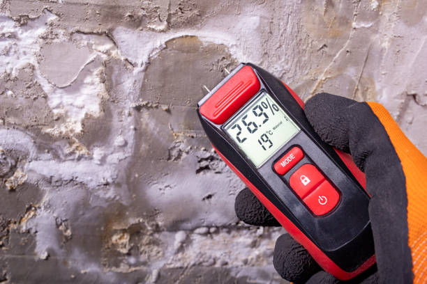 Best Kitchen Mold Remediation in Commerce, OK