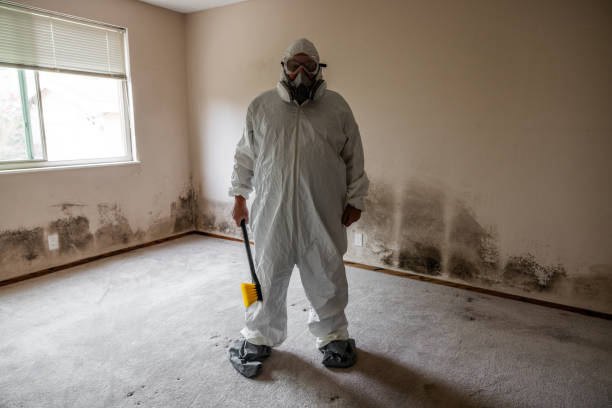 Best Insurance-Related Mold Remediation in Commerce, OK